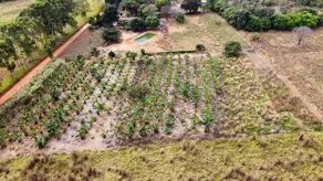Imagem 6 - Chácara em Area Rural, Hidrolândia - GO