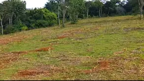 Imagem 2 - Chácara em Zona Rural, Cromínia - GO