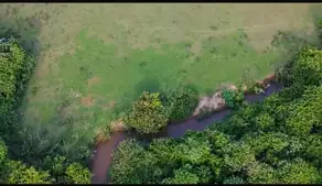 Imagem 3 - Chácara em Zona Rural, Cromínia - GO
