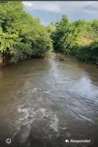 Imagem 4 - Chácara em Zona Rural, Cromínia - GO