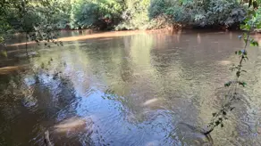 Imagem 2 - Chácara em Zona Rural, Caldas Novas - GO