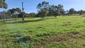 Imagem 3 - Chácara em Zona Rural, Caldas Novas - GO