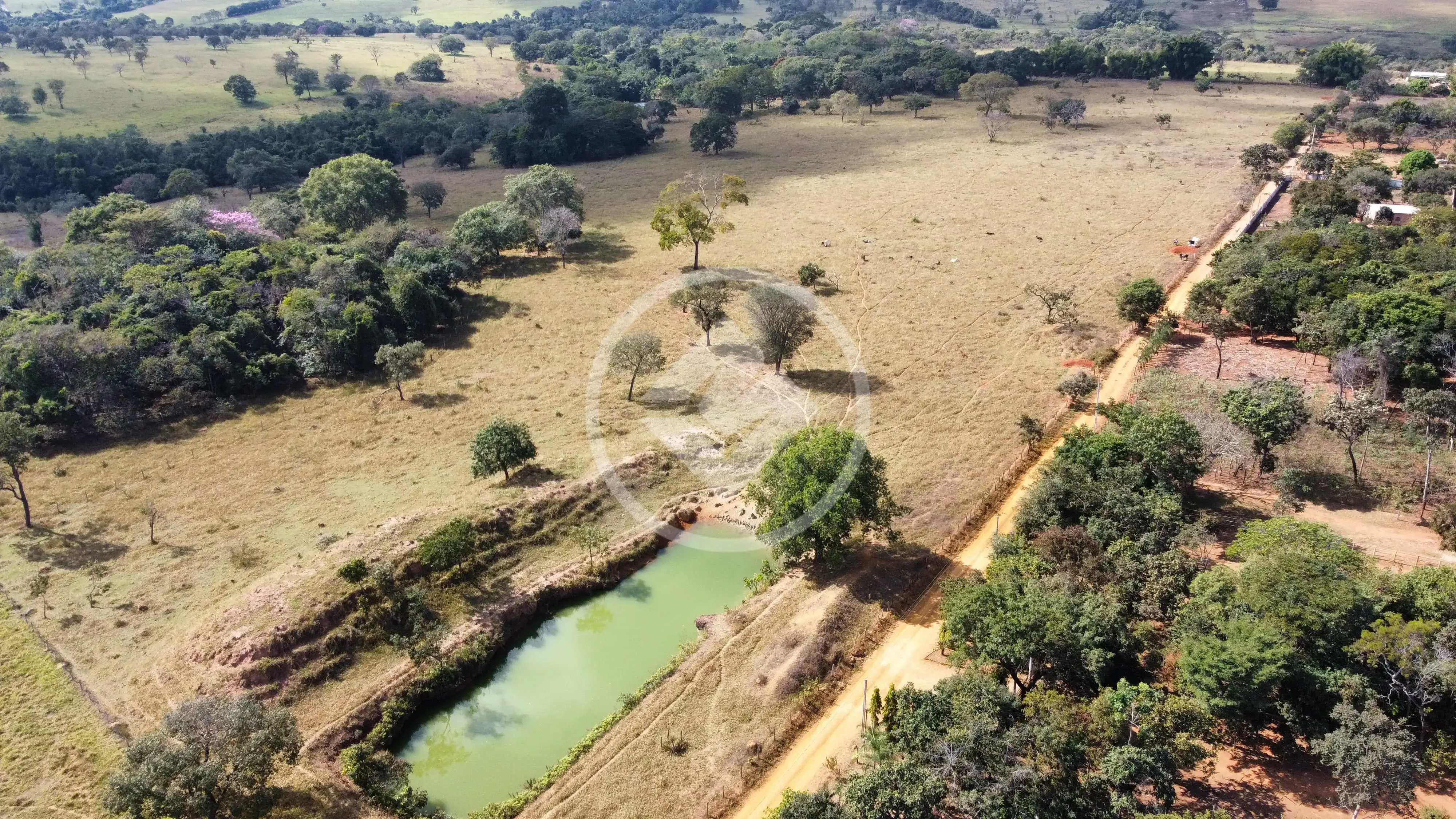 Imagem 3 - Fazenda em Zona Rural Hidrolandia, Hidrolândia - GO