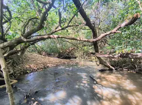 Imagem 6 - Fazenda em Zona Rural Hidrolandia, Hidrolândia - GO