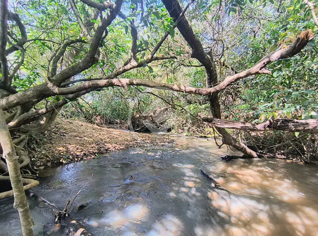 Imagem 6 - Fazenda em Zona Rural Hidrolandia, Hidrolândia - GO