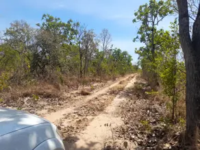 Fazenda Zona Rural, Rio Sono - TO — foto 1