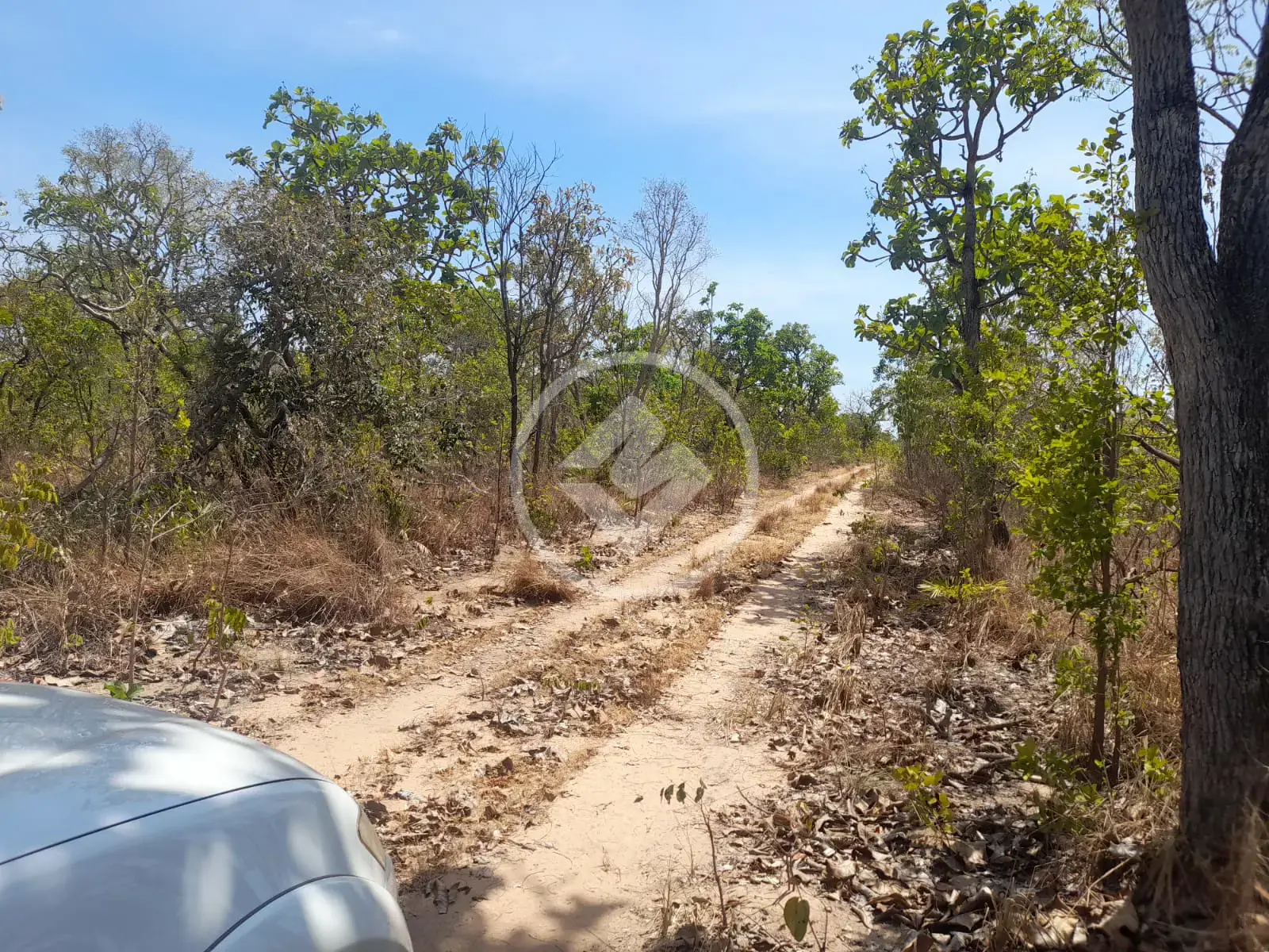Imagem 1 - Fazenda em Zona Rural, Rio Sono - TO