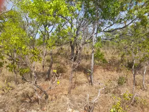 Imagem 2 - Fazenda em Zona Rural, Rio Sono - TO