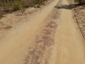 Imagem 4 - Fazenda em Zona Rural, Rio Sono - TO