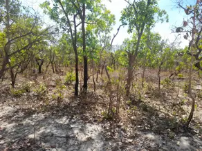 Imagem 5 - Fazenda em Zona Rural, Rio Sono - TO