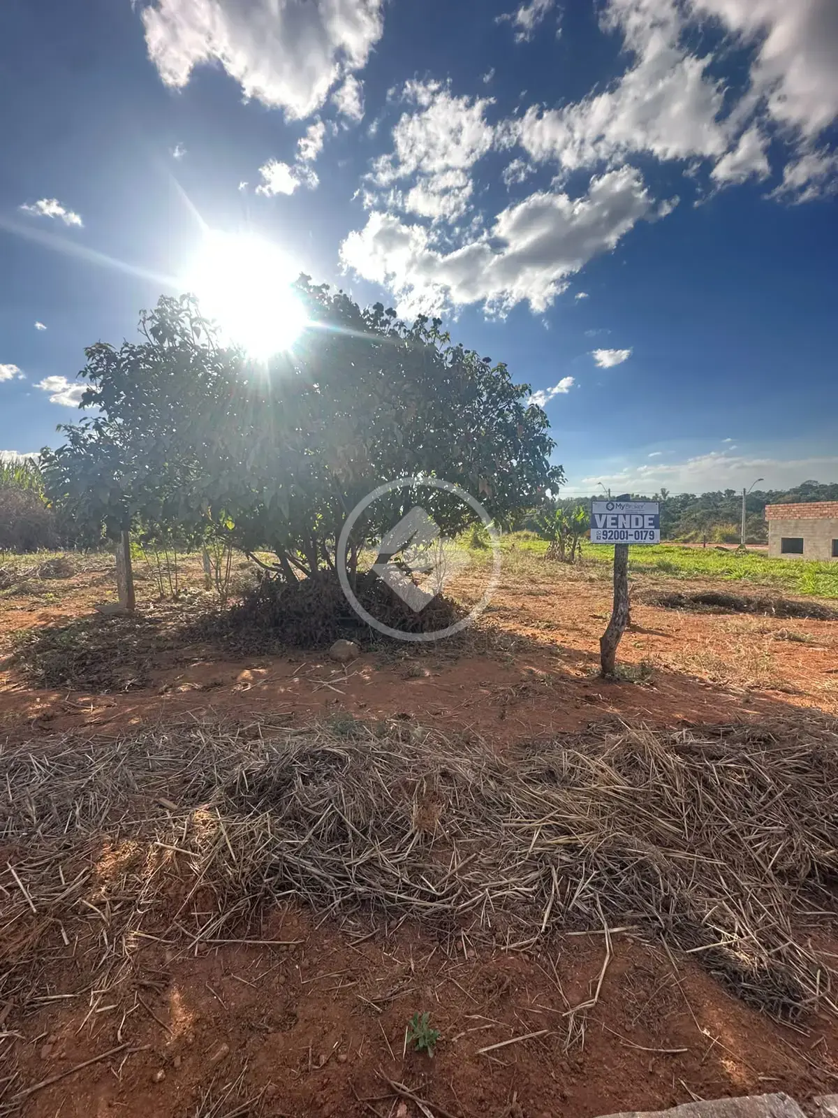 Imagem 1 - Terreno em Parque Benjamin, Hidrolândia - GO