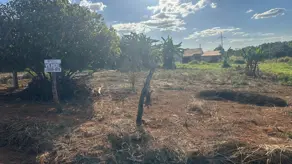 Terreno Parque Benjamin, Hidrolândia - GO — foto 2