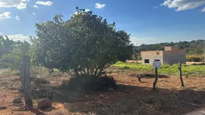 Imagem 2 - Terreno em Parque Benjamin, Hidrolândia - GO