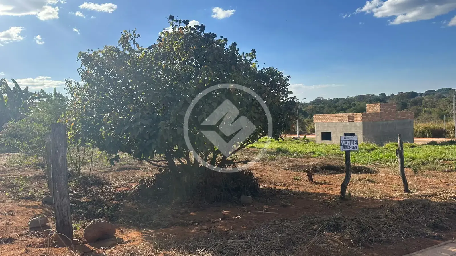 Imagem 2 - Terreno em Parque Benjamin, Hidrolândia - GO