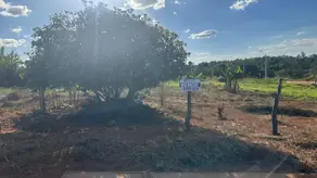 Imagem 3 - Terreno em Parque Benjamin, Hidrolândia - GO