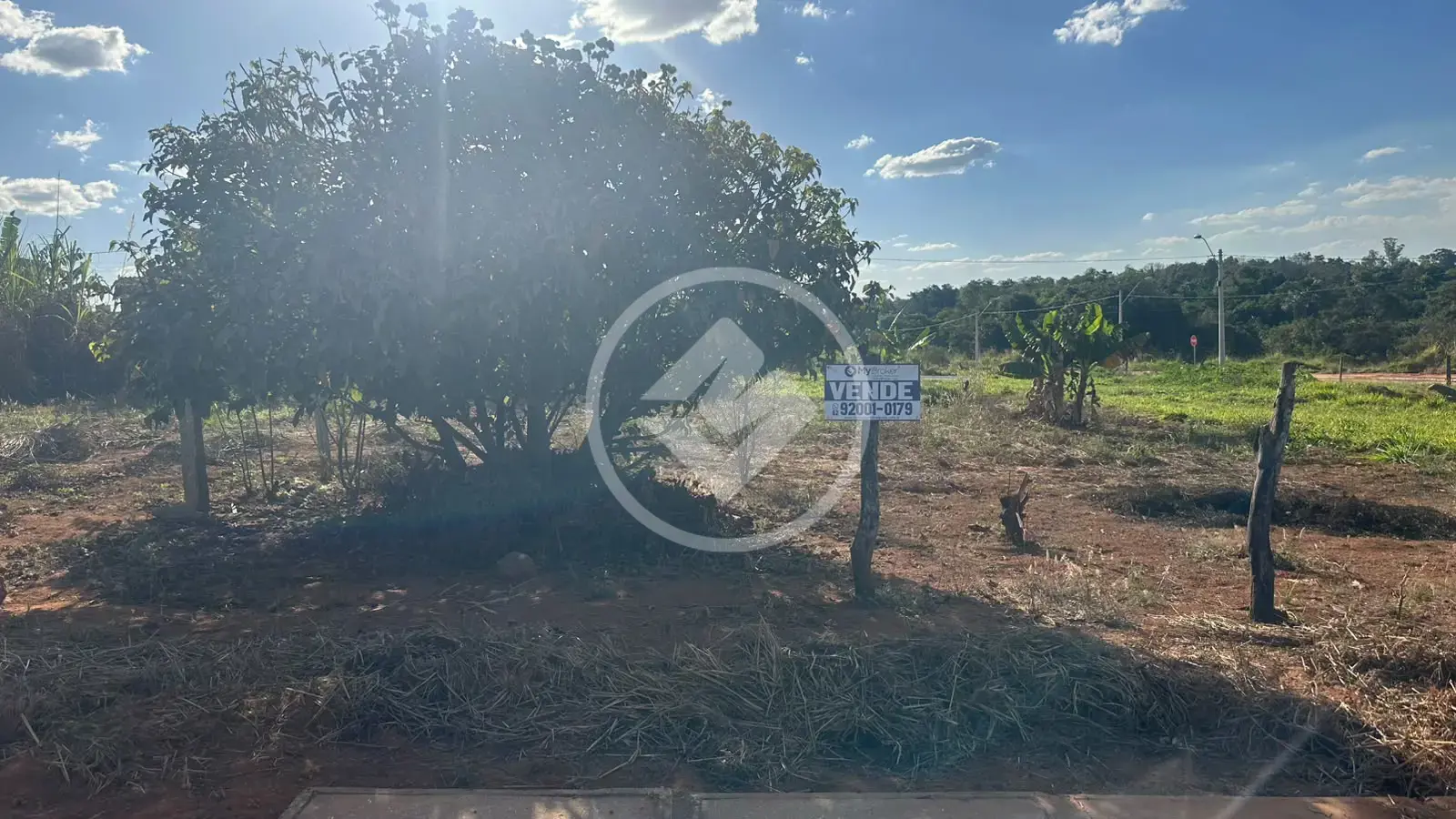 Imagem 3 - Terreno em Parque Benjamin, Hidrolândia - GO