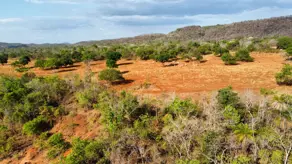 Imagem 6 - Fazenda em Zona Rural, Porto Nacional - TO