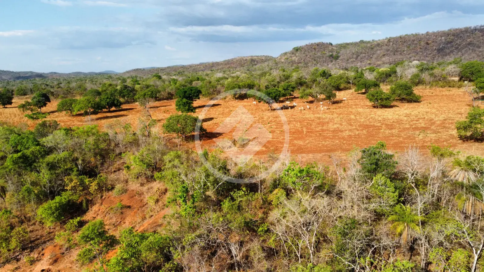 Imagem 6 - Fazenda em Zona Rural, Porto Nacional - TO