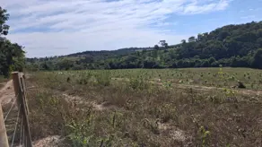 Imagem 2 - Fazenda em Zona Rural, Professor Jamil - GO