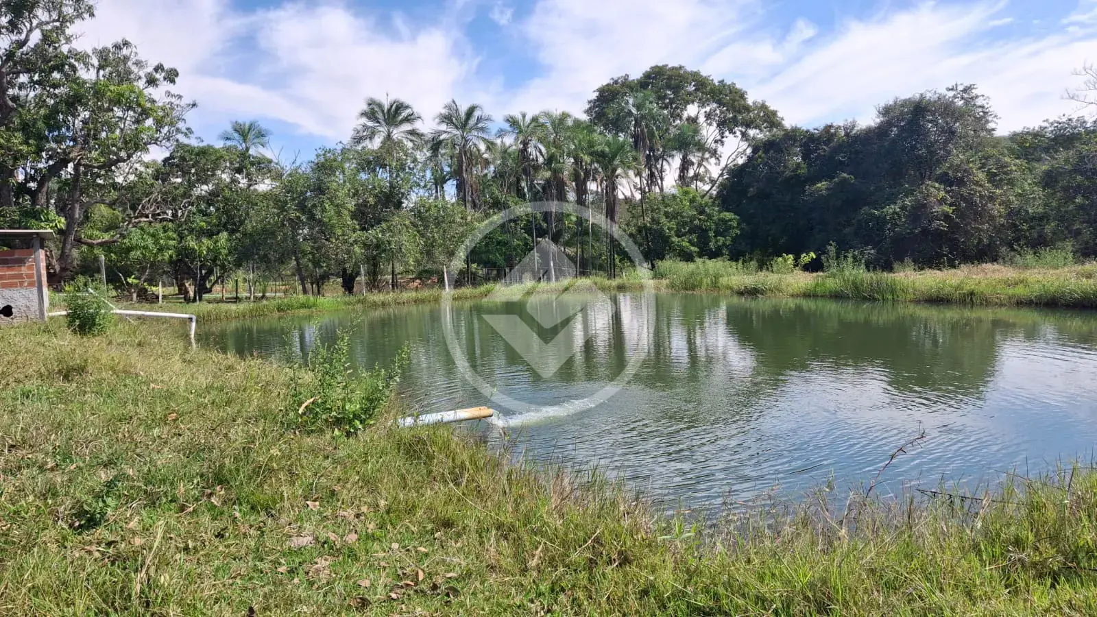 Imagem 1 - Fazenda em Zona Rural, Professor Jamil - GO