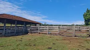Imagem 5 - Fazenda em Zona Rural, Professor Jamil - GO