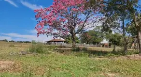 Imagem 6 - Fazenda em Zona Rural, Professor Jamil - GO