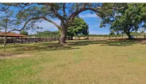 Fazenda Zona Rural, Professor Jamil - GO — foto 2