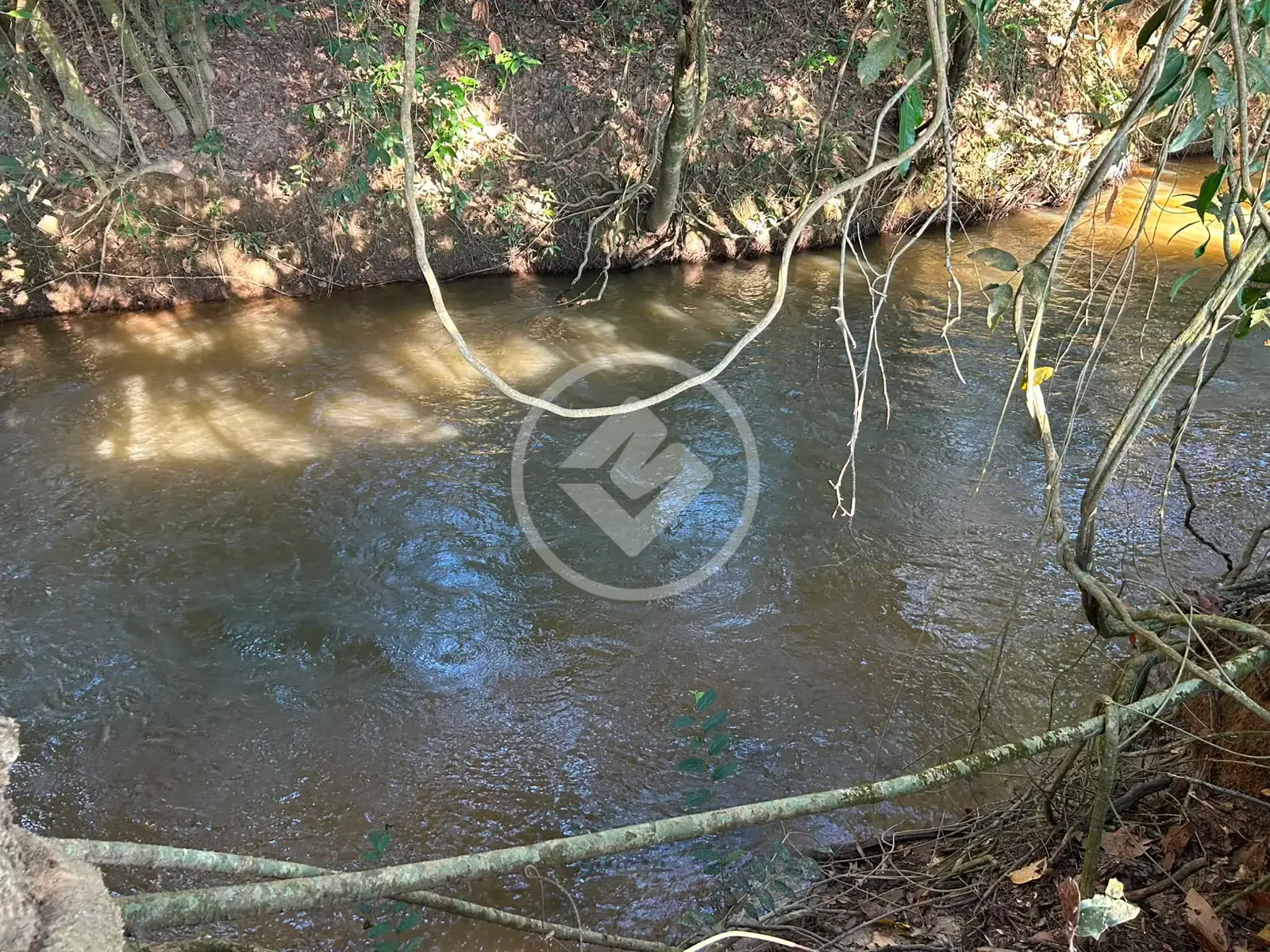 Imagem 3 - Fazenda em Zona Rural, Hidrolândia - GO