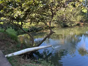 Imagem 2 - Fazenda em Zona Rural, Hidrolândia - GO