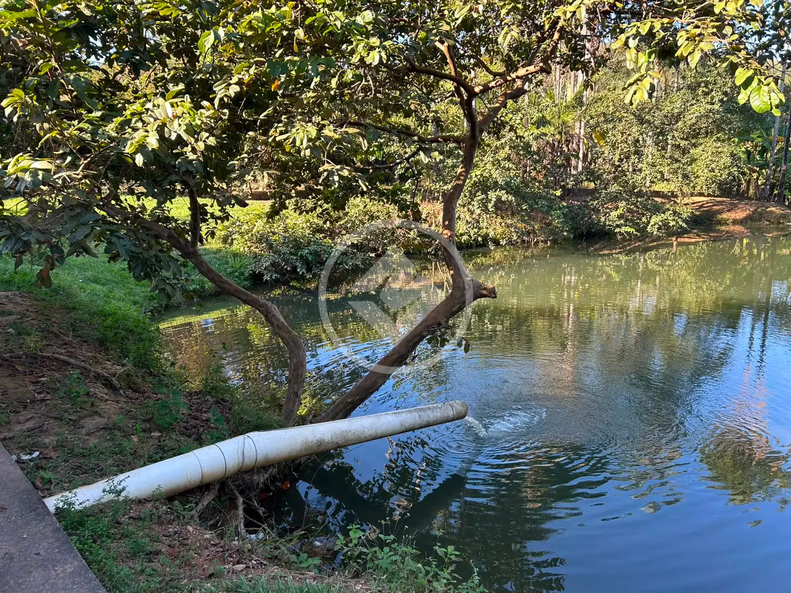 Imagem 2 - Fazenda em Zona Rural, Hidrolândia - GO