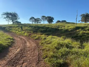 Imagem 5 - Fazenda em Zona Rural, Hidrolândia - GO