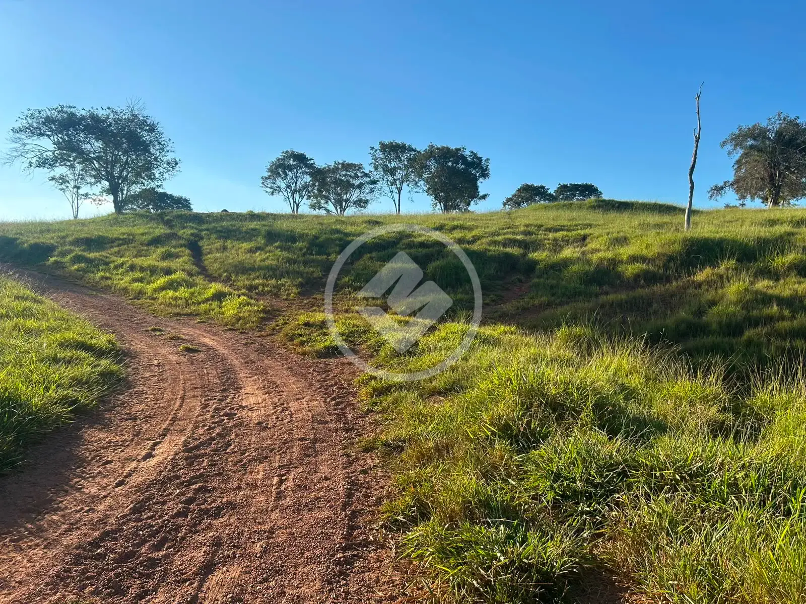 Imagem 5 - Fazenda em Zona Rural, Hidrolândia - GO
