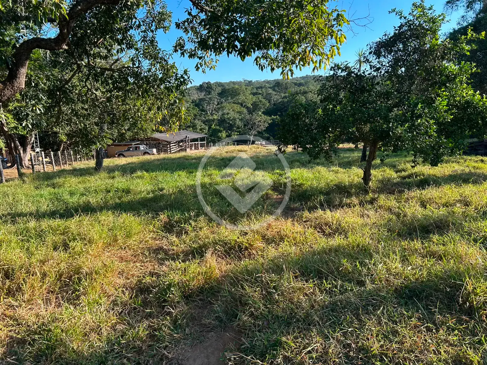 Imagem 1 - Fazenda em Zona Rural, Hidrolândia - GO