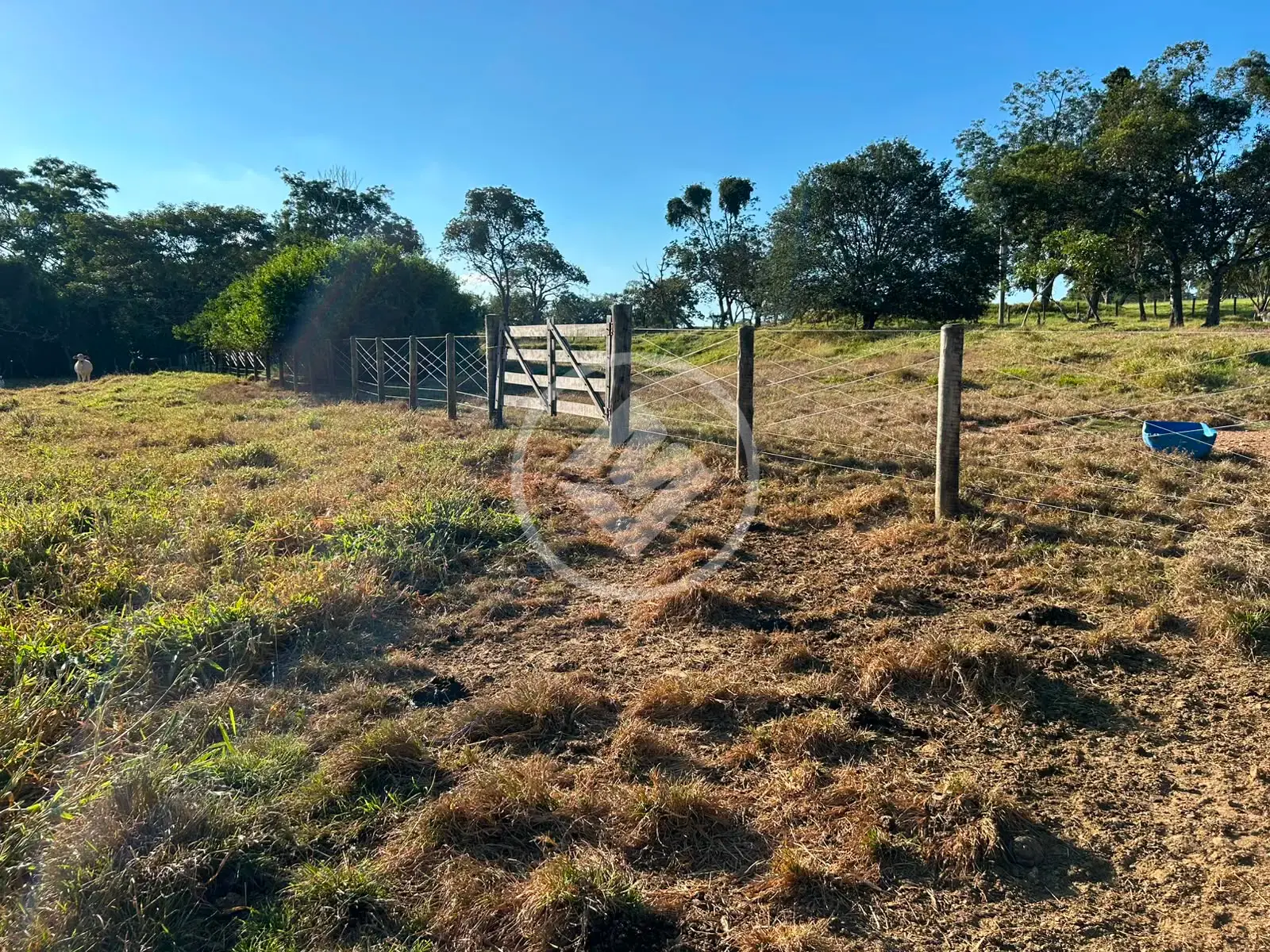 Imagem 4 - Fazenda em Zona Rural, Hidrolândia - GO