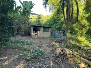 Imagem 6 - Fazenda em Zona Rural, Hidrolândia - GO