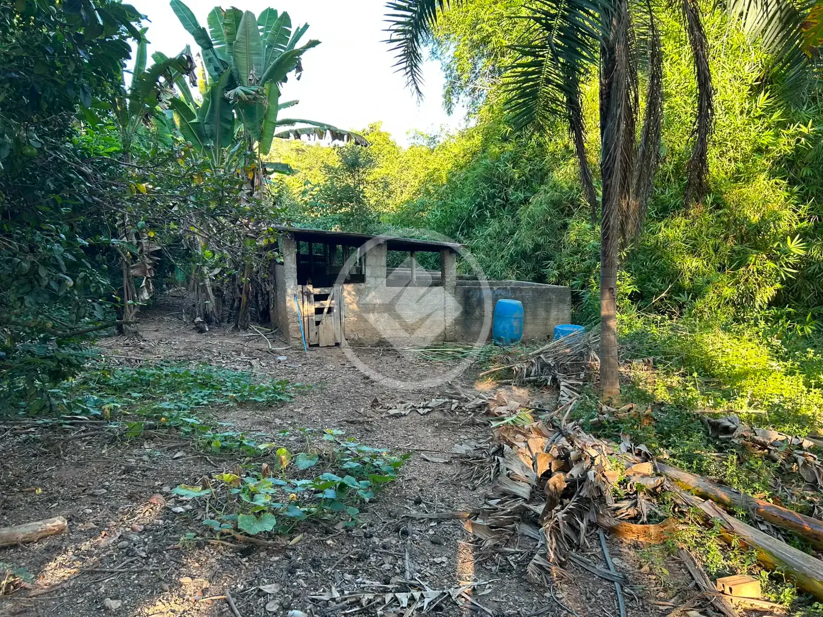 Imagem 6 - Fazenda em Zona Rural, Hidrolândia - GO