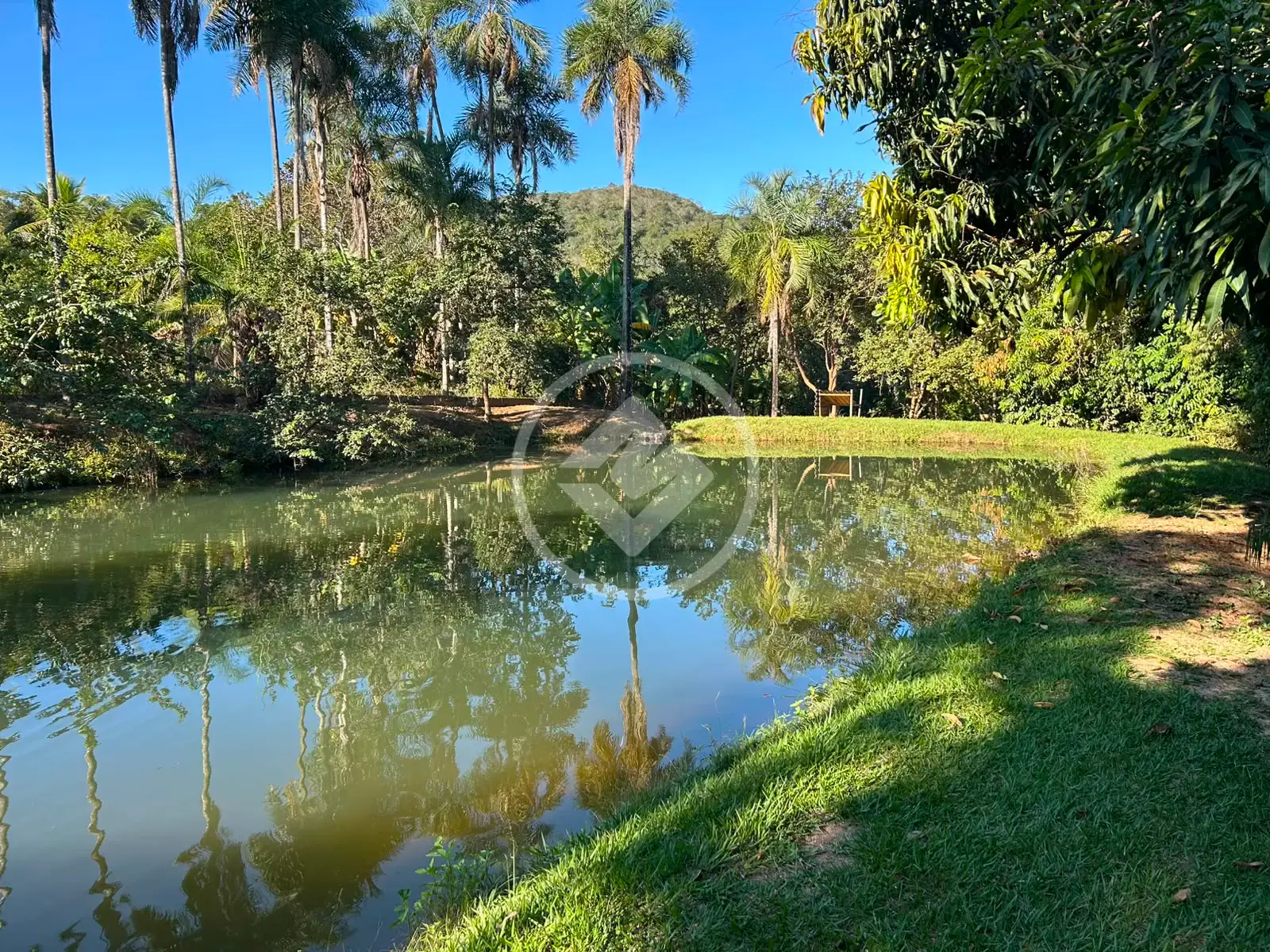 Imagem 1 - Fazenda em Zona Rural, Hidrolândia - GO