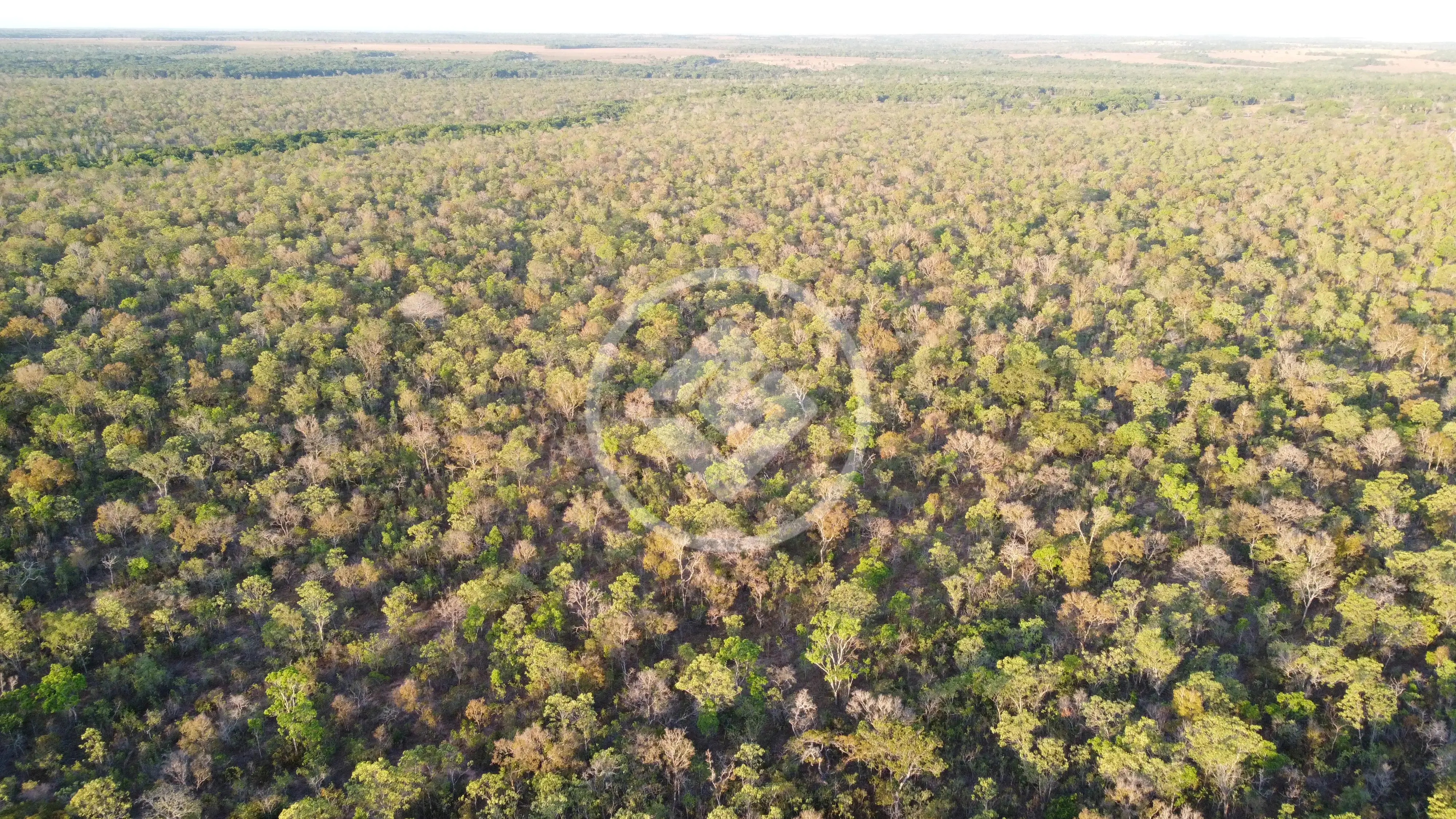 Imagem 1 - Fazenda em Zona rural, Palmeirante - TO