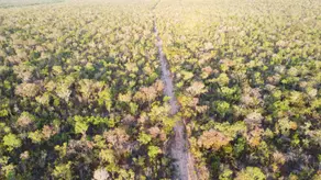 Fazenda Zona rural, Palmeirante - TO — foto 2