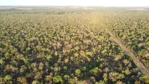 Imagem 2 - Fazenda em Zona rural, Palmeirante - TO