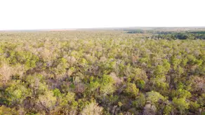 Imagem 3 - Fazenda em Zona rural, Palmeirante - TO