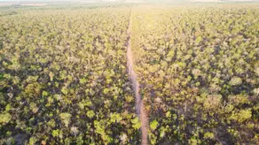 Imagem 4 - Fazenda em Zona rural, Palmeirante - TO