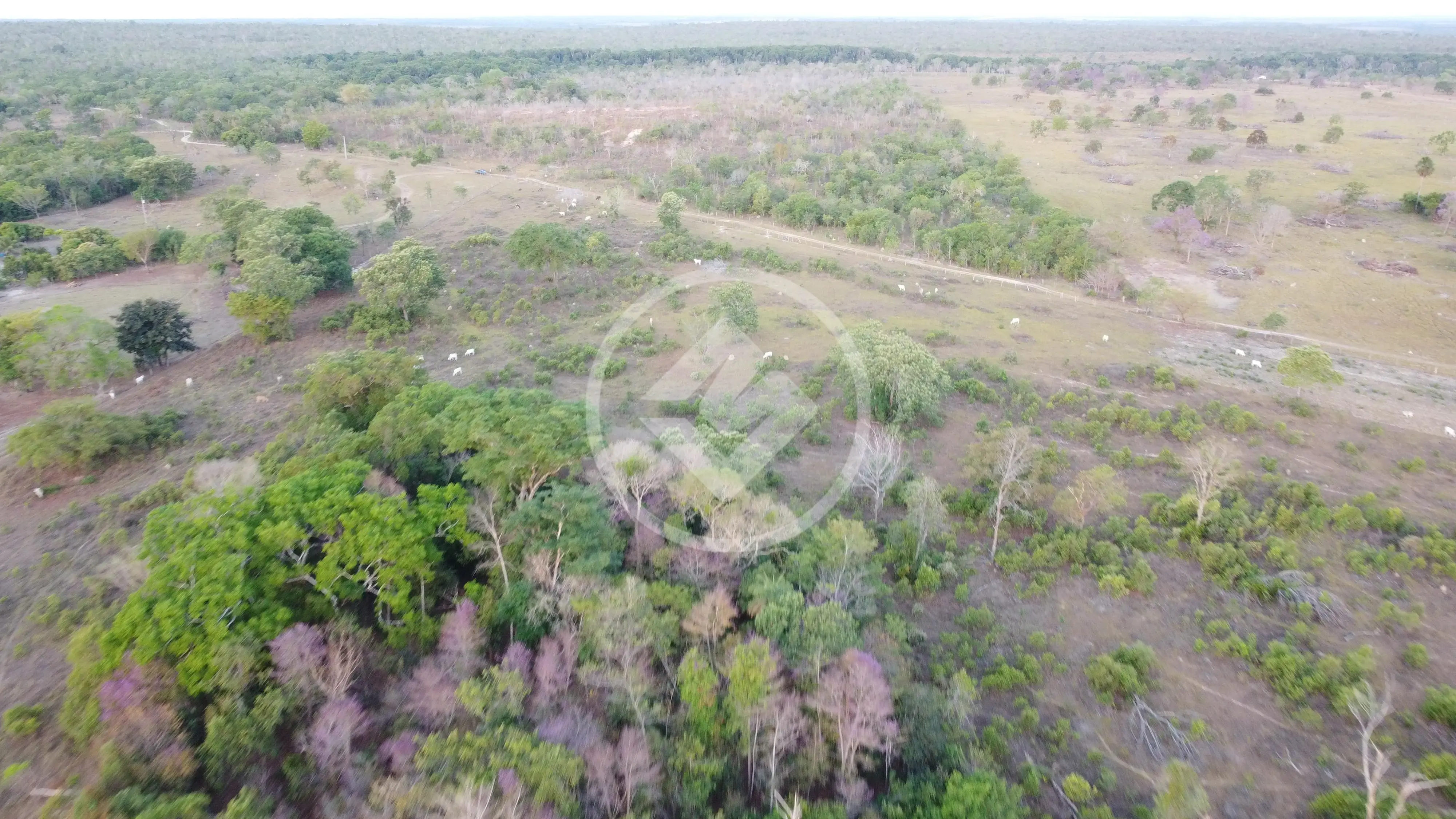 Image 11 - Fazenda em Zona rural, Palmeirante - TO