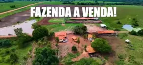 Imagem 2 - Fazenda em Zona Rural, Arapoema - TO