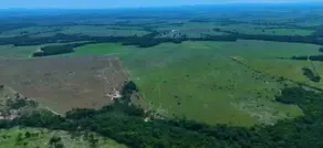 Imagem 3 - Fazenda em Zona Rural, Arapoema - TO