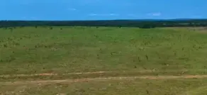 Imagem 4 - Fazenda em Zona Rural, Arapoema - TO