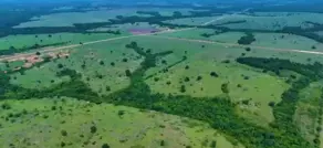 Imagem 6 - Fazenda em Zona Rural, Arapoema - TO