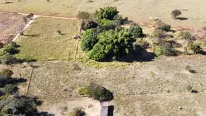 Imagem 3 - Chácara em Chácara em Hidrolândia, Hidrolândia - GO