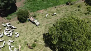 Imagem 3 - Fazenda em Zona Rural, Bonfinópolis - GO