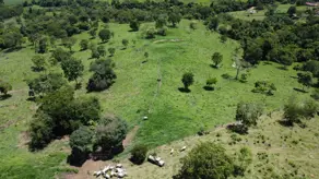 Imagem 2 - Fazenda em Zona Rural, Bonfinópolis - GO